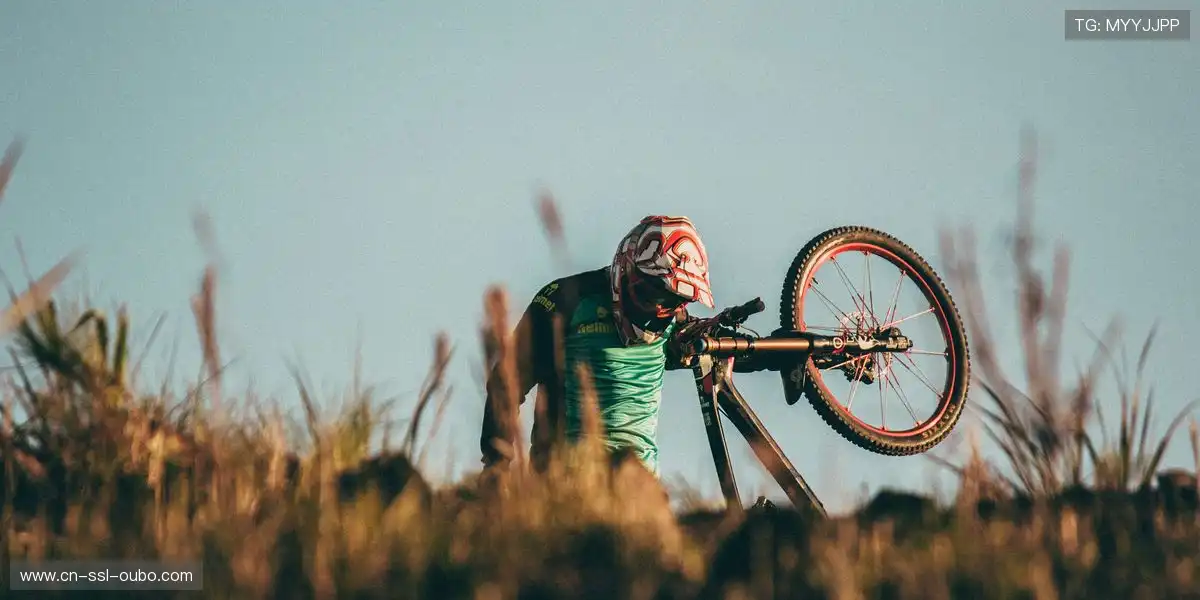 体育营销渠道构成更加全面